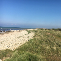 La plage de Ver sur Mer, un espace naturel et protégé